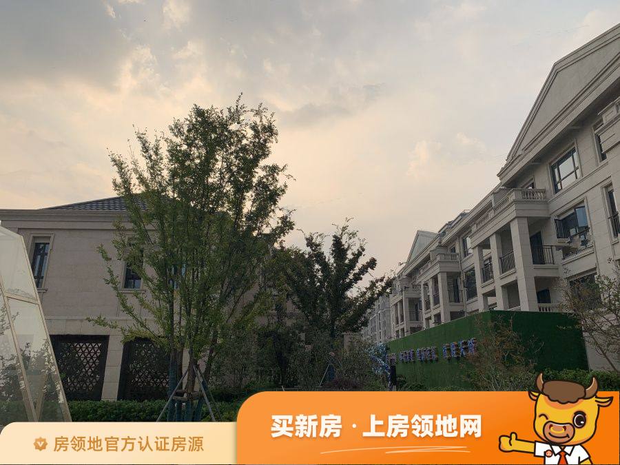 华广新城西路地块实景图19