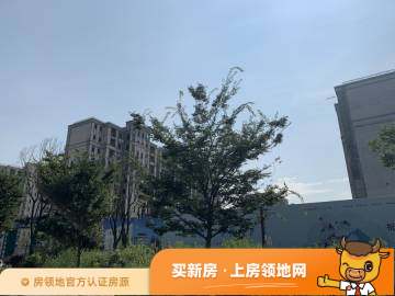 华广新城西路地块实景图10