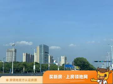 华广新城西路地块实景图1