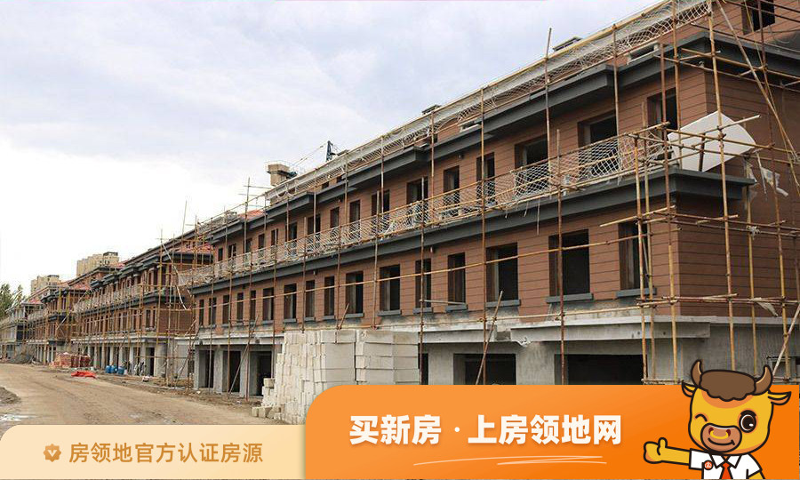 中国铁建国际城别墅实景图10