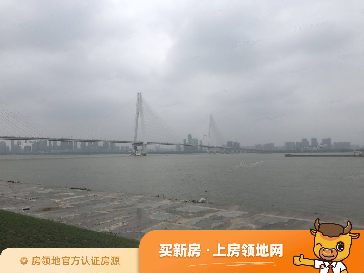 武汉艺城紫金滨江未来发展潜力如何？
