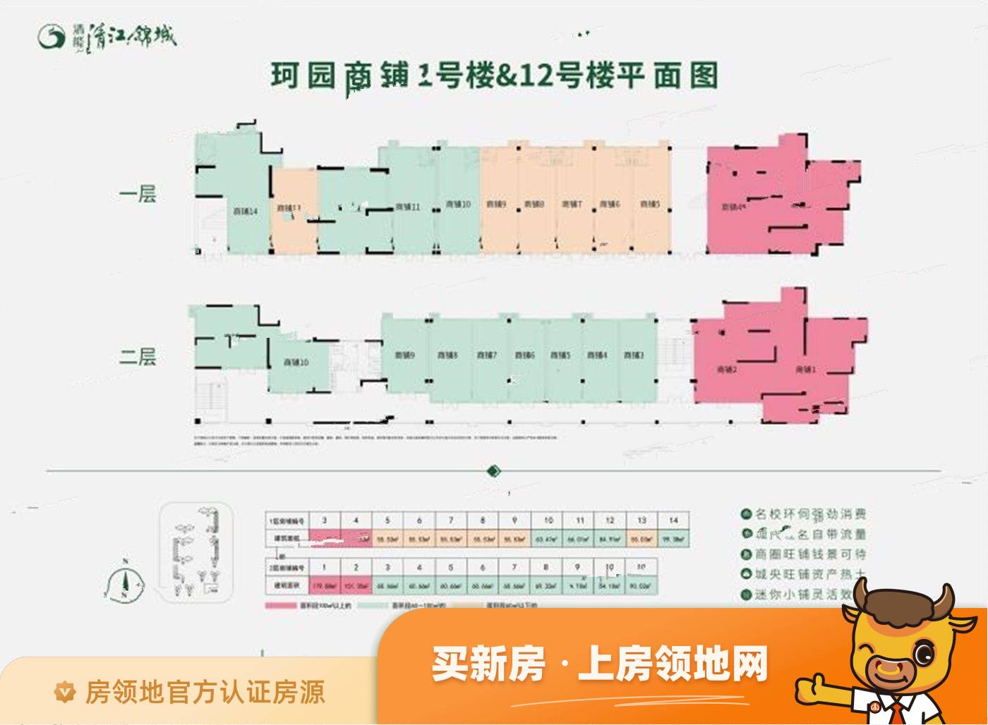 清江锦城规划图63