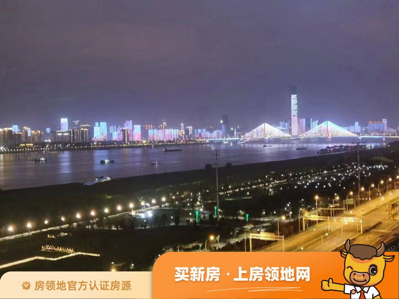 中海长江十里实景图18
