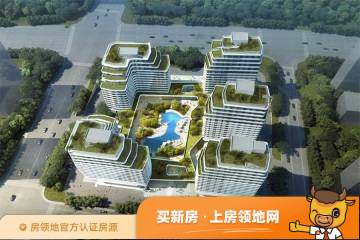 武汉长江青年城均价为11003元每平米