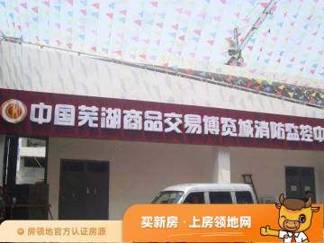中国芜湖商品交易博览城实景图1