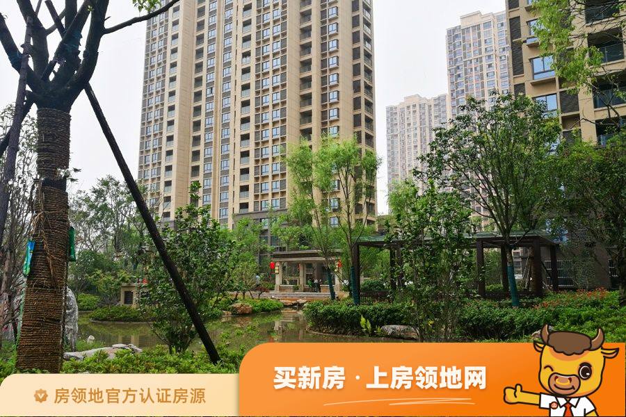 芜湖东方龙城龙街升值空间大吗？