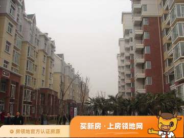 珠江新城二期实景图6