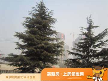阳光北京城实景图10