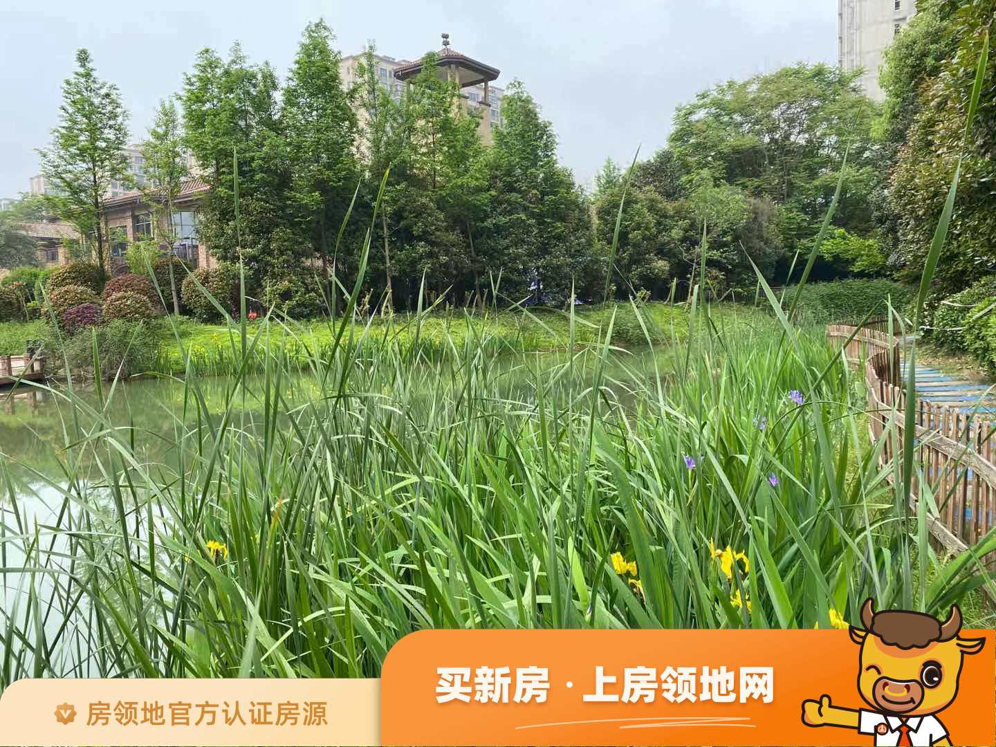 荣盛坤湖郦舍实景图8