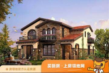 湘潭湘潭碧桂园别墅在售户型，3居、5居、6居，建面132-447m²