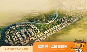 中国原点龙安居国际家居建材城实景图7