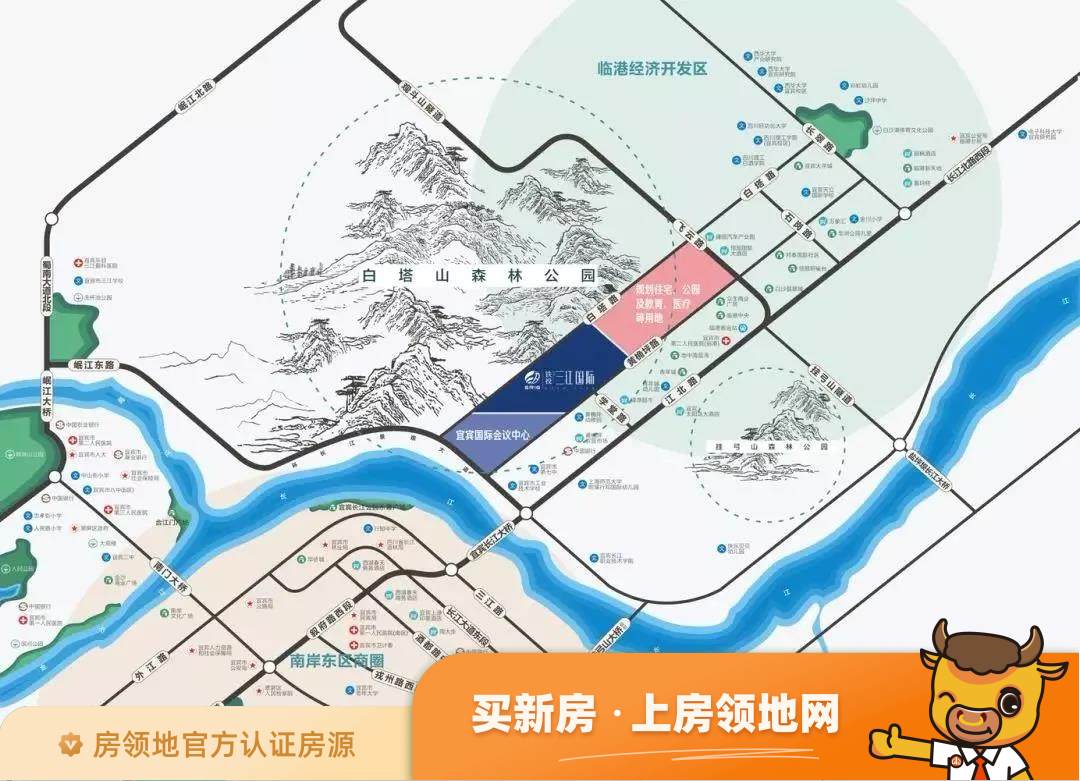 铁投三江国际规划图30