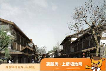 印湘江（住宅）实景图10