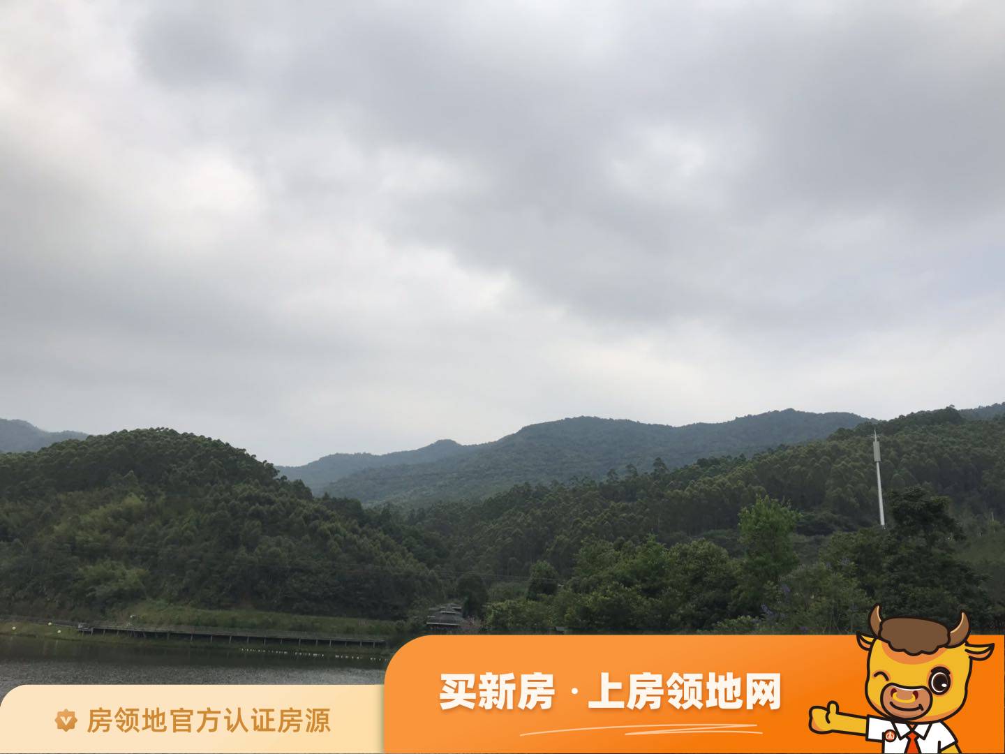 漳州泰禾蓝山院子小区品质如何？