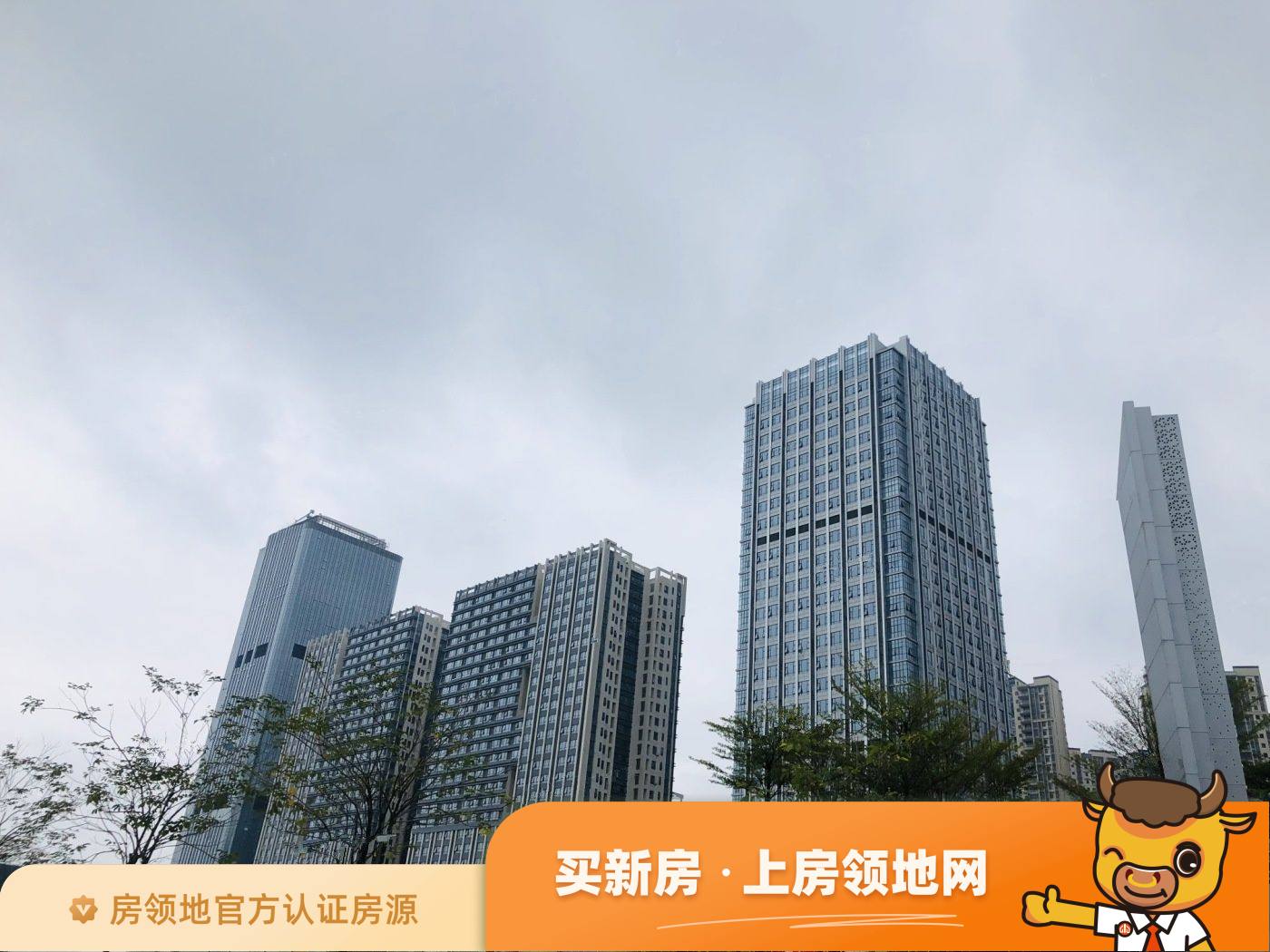 湛江荣盛中央广场值得投资吗？