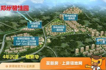 郑州碧桂园规划图61