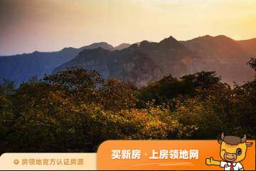 青龙山国际生态示范区实景图11