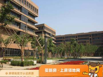 河南省国家大学科技园东区实景图11