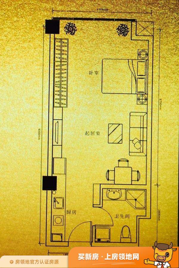 中南世纪之光户型图1室2厅1卫