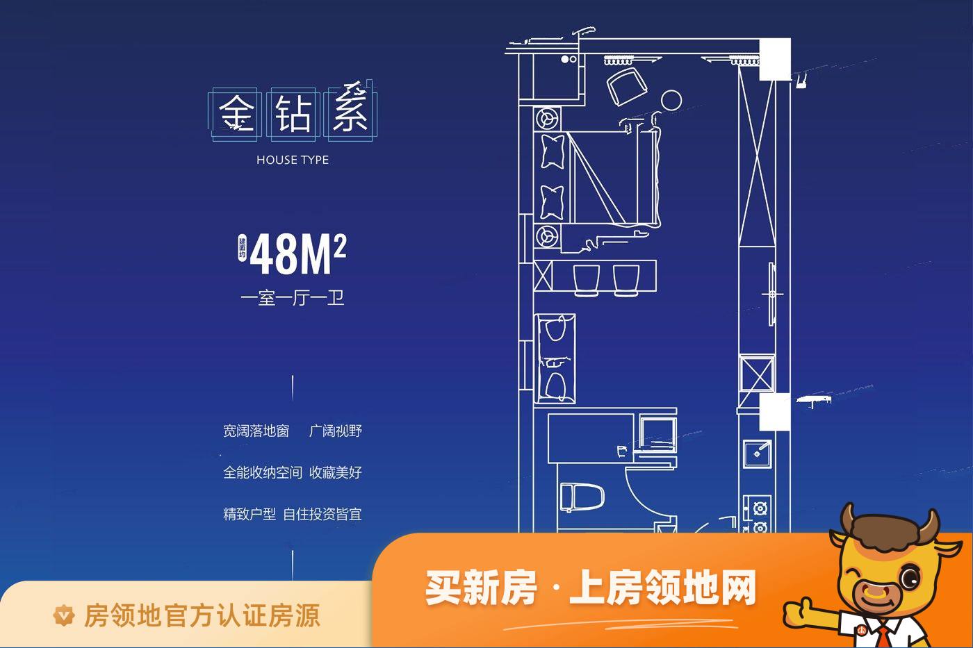 新龙江城市广场户型图1室1厅1卫
