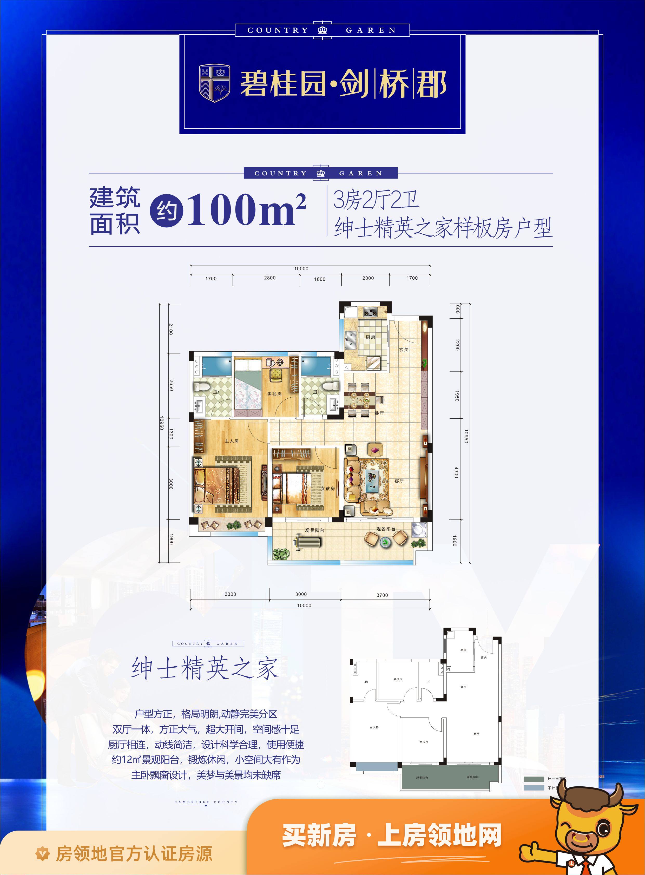 碧桂园剑桥郡户型图3室2厅2卫