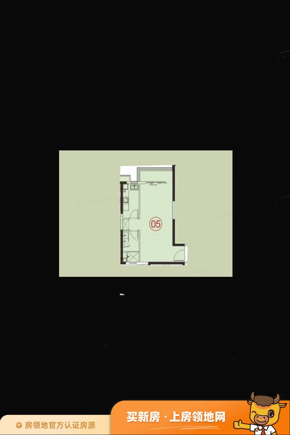 广州恒大冠珺之光户型图1室1厅1卫