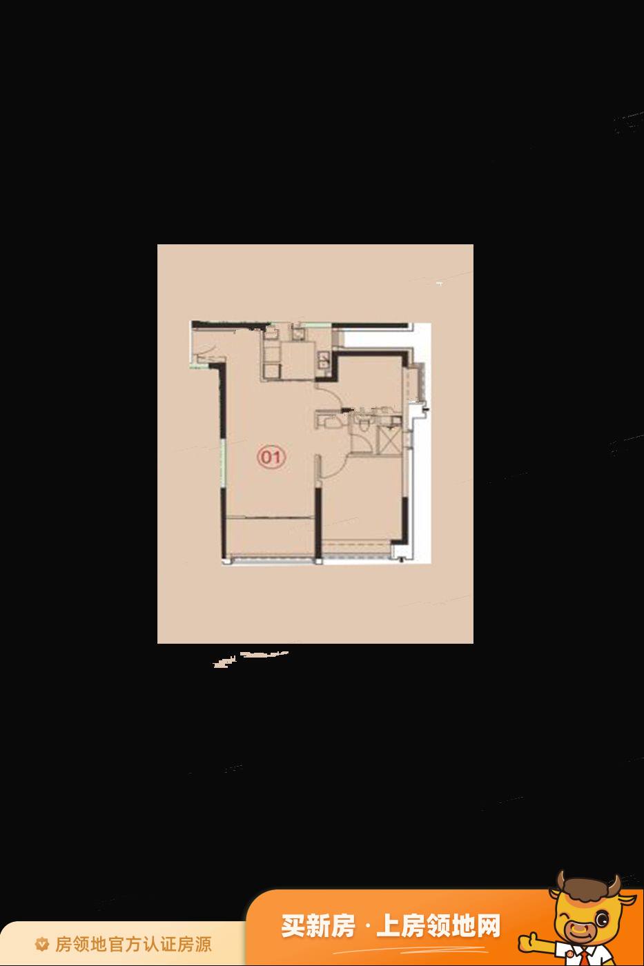 广州恒大冠珺之光户型图2室1厅1卫