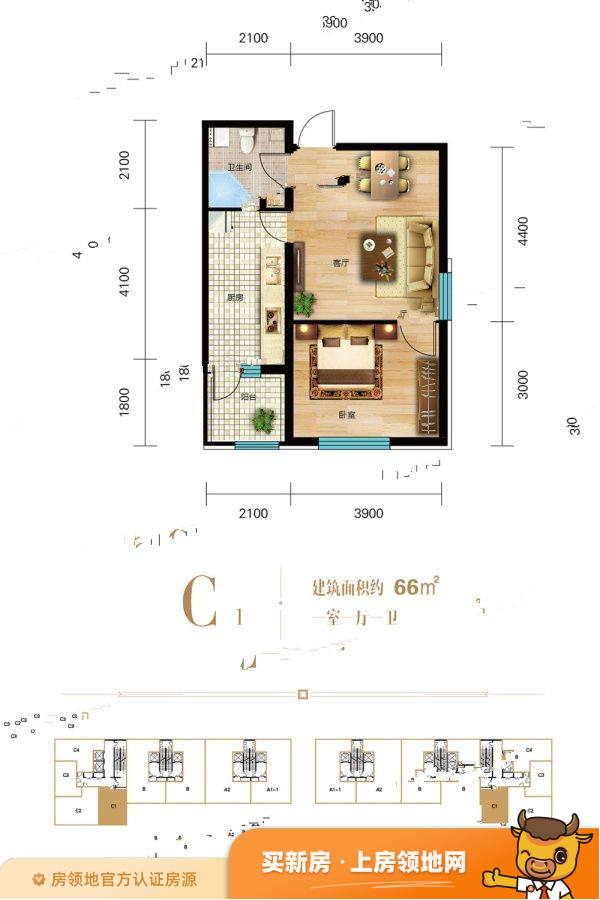 江城国际户型图1室1厅1卫