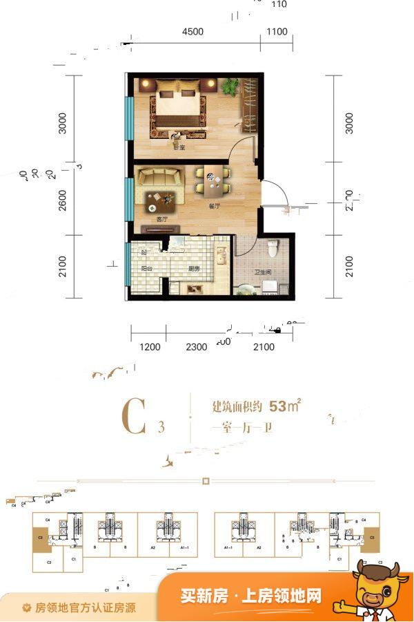 江城国际户型图1室1厅1卫