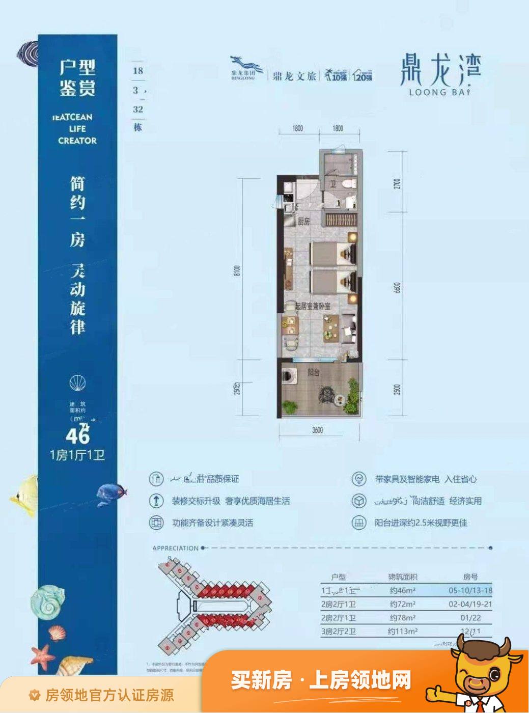 鼎龙湾国际海洋度假区户型图