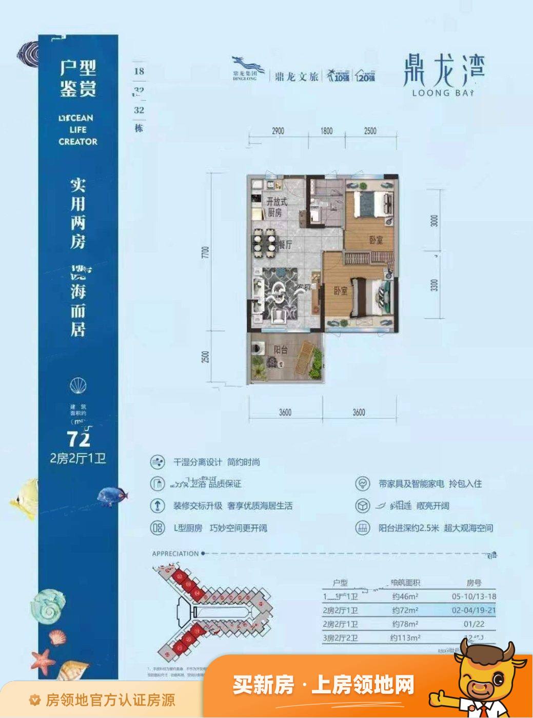 鼎龙湾国际海洋度假区户型图2室2厅1卫