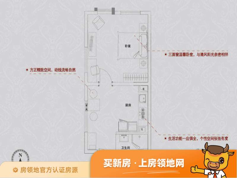 珠江国际中心悦公馆户型图0室0厅0卫