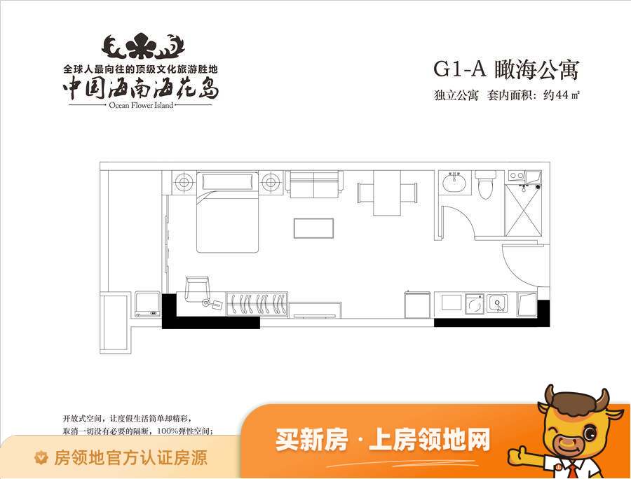 中国海南海花岛户型图1室1厅1卫