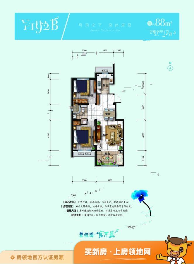 碧桂园官厅蓝户型图2室2厅2卫