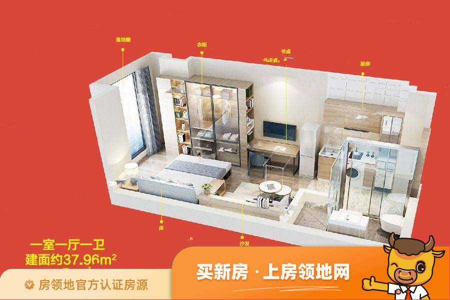 锦荣UI公寓户型图1室1厅1卫