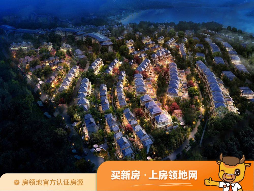 中国抚仙湖星空小镇国际度假区效果图