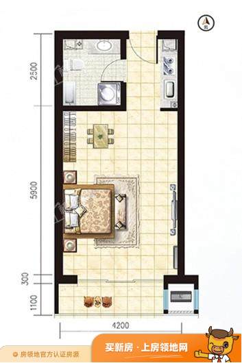 银龄公寓户型图1室1厅1卫