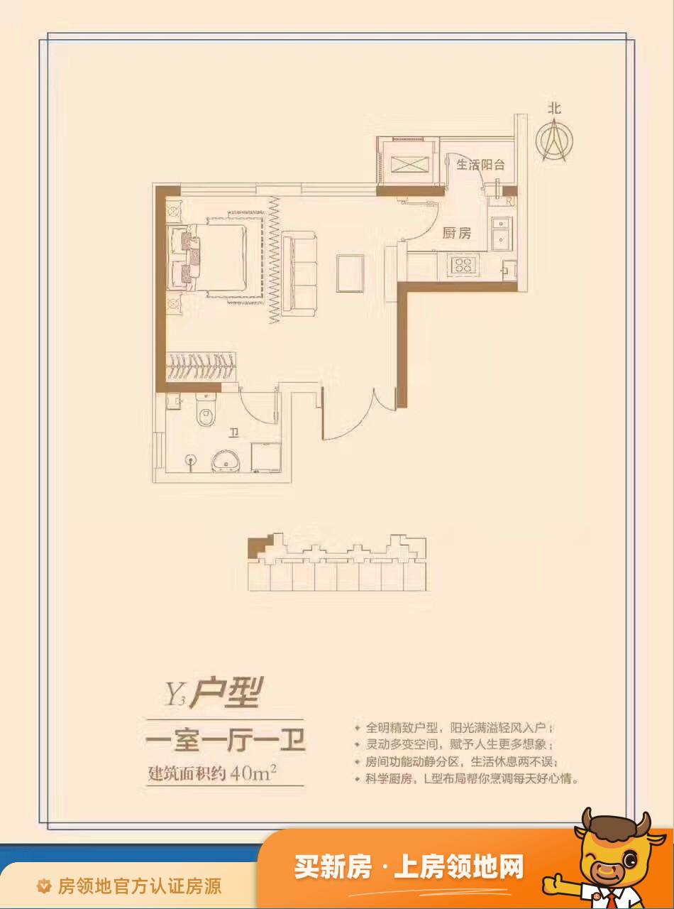 孔雀城鸭梨公寓户型图1室1厅1卫