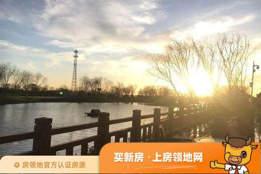 沧州碧桂园·凤凰生态城是洋房项目吗，碧桂园·凤凰生态城产权是多少年？