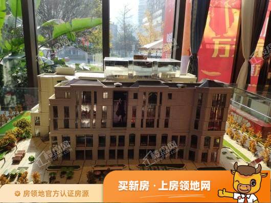 重庆富州平顶山的房子设计怎么样，富州平顶山适合什么人买？