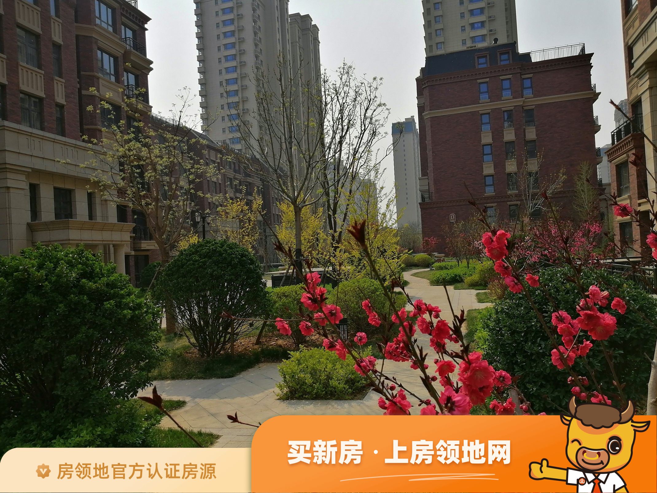 沧州信友城市之光均价为18000元每平米