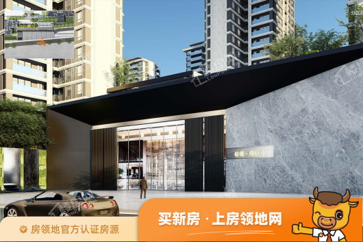 重庆阳光城天澜道11号规划总面积是多少，阳光城天澜道11号现在是现房吗？