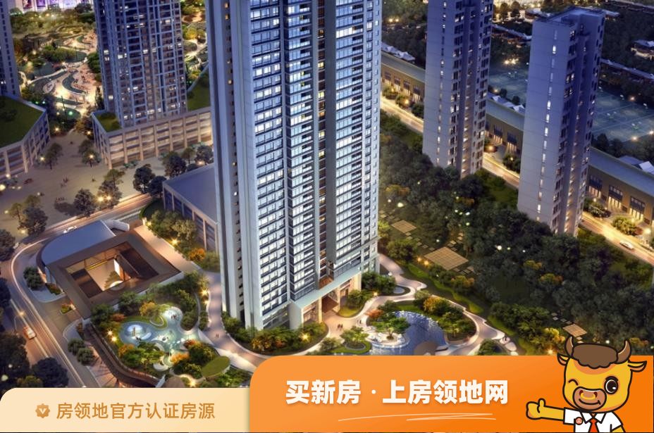 重庆重庆中心的房子设计怎么样，重庆中心适合什么人买？