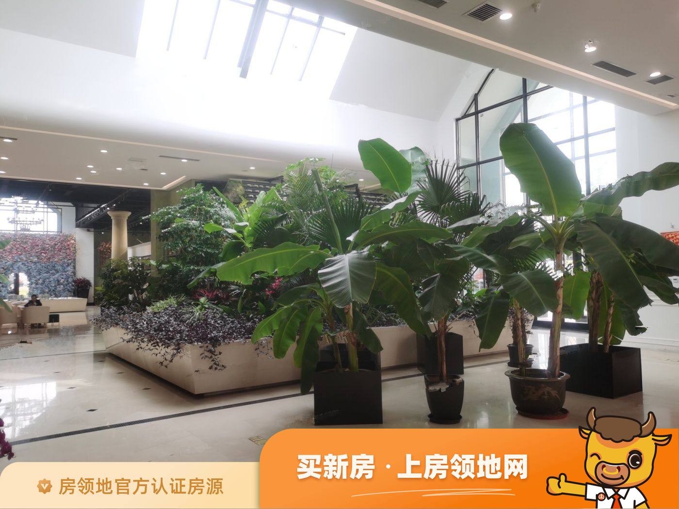 长春青怡坊昆兰开发商有实力吗,青怡坊昆兰前景怎么样? - 长春房领地