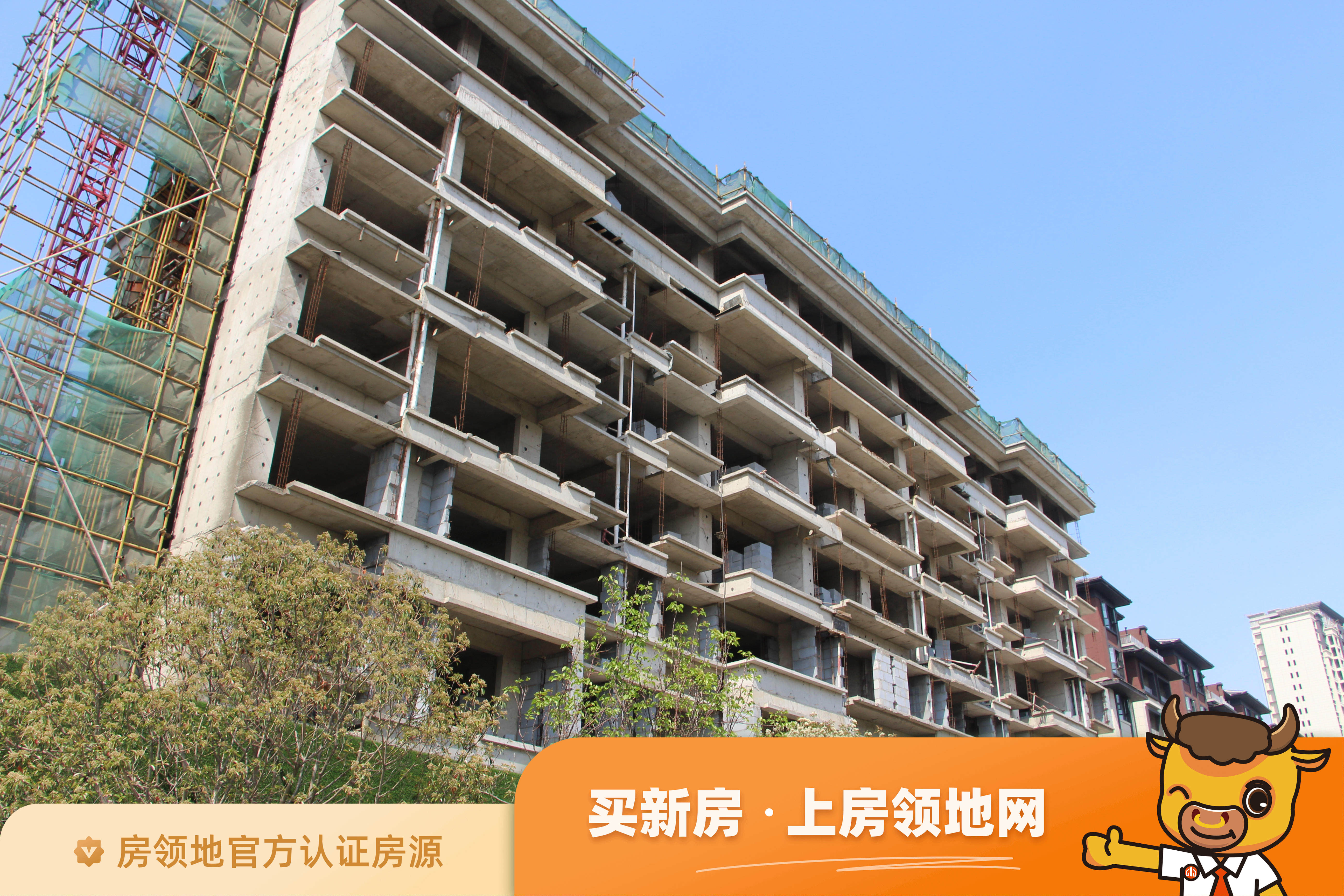 许昌亚新美好莲城均价为4200元每平米 - 许昌房领地