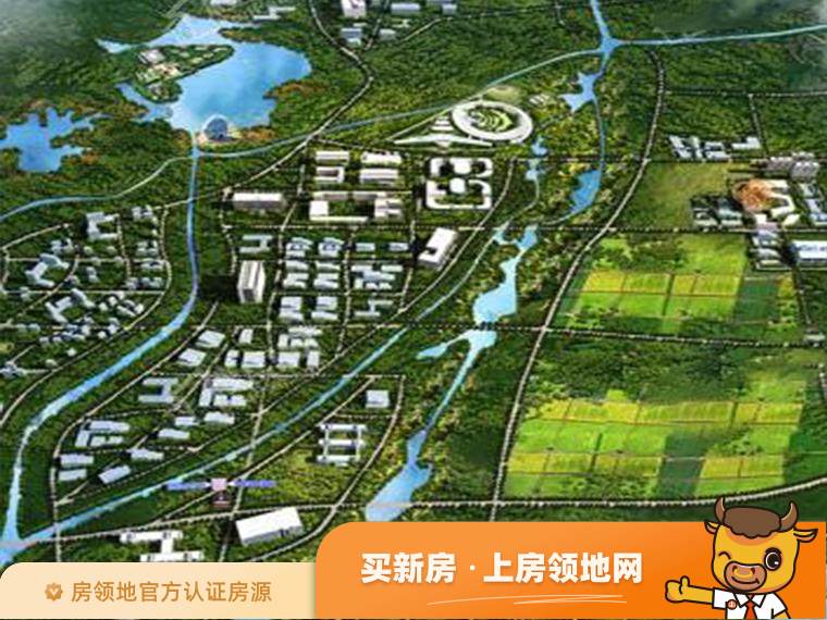 碧桂园中心规划图2