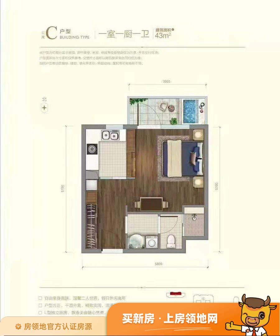 三盛国际城公寓户型图1室1厅1卫
