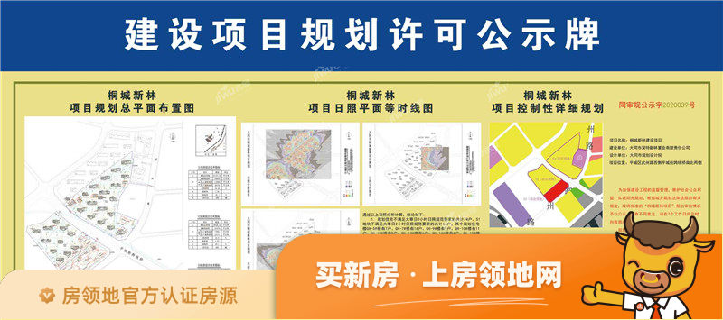 桐城新林御园规划图1
